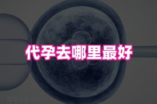 武汉助孕网站 2